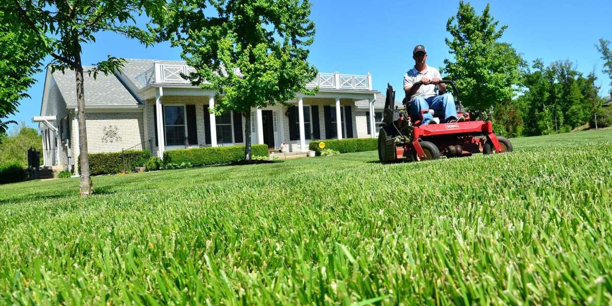 Spring Lawn Care Mistakes, and Why You Should Hire an Expert