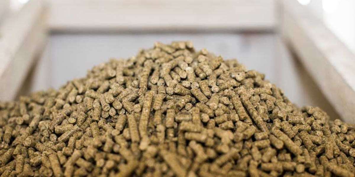 Feeding Innovation: Exploring the World of Compound Feed