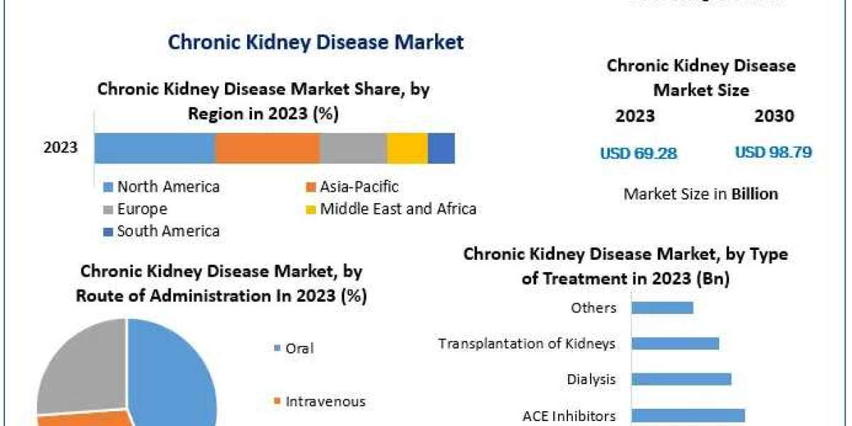 Chronic Kidney Disease Market Demand Forecast and Insights 2024-2030