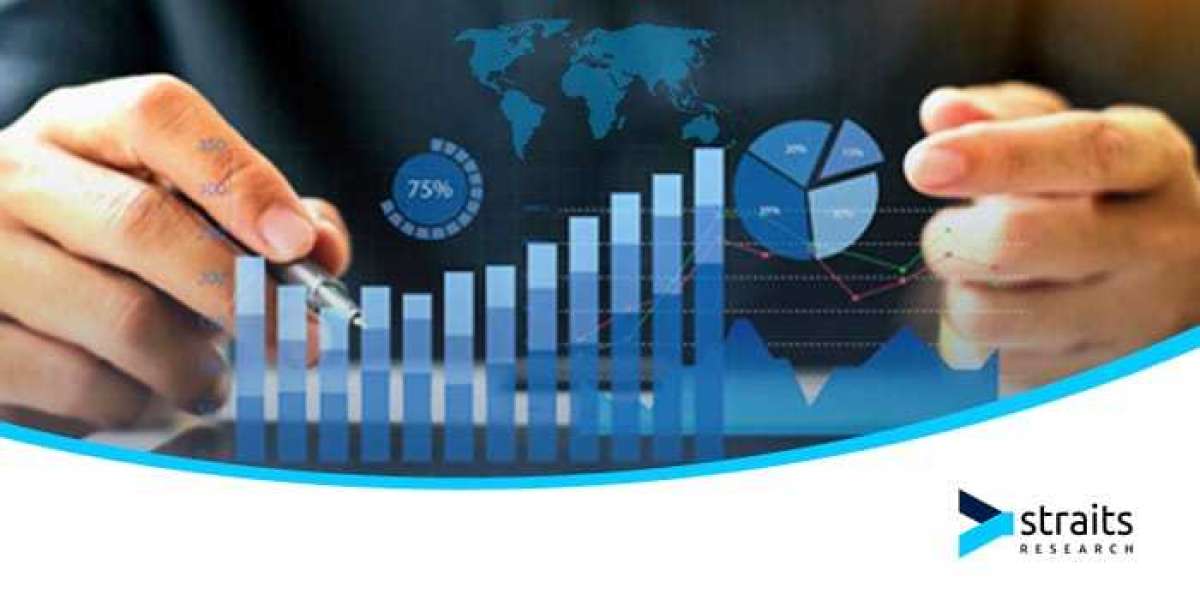 Understanding Sports Field Lighting Market Size: Growth and Projections