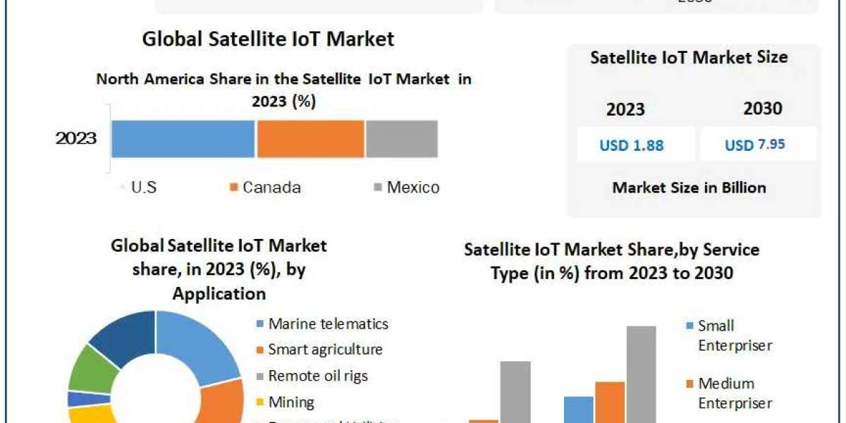 Expanding the IoT Horizon: Key Drivers and Market Outlook for Satellite IoT Solutions