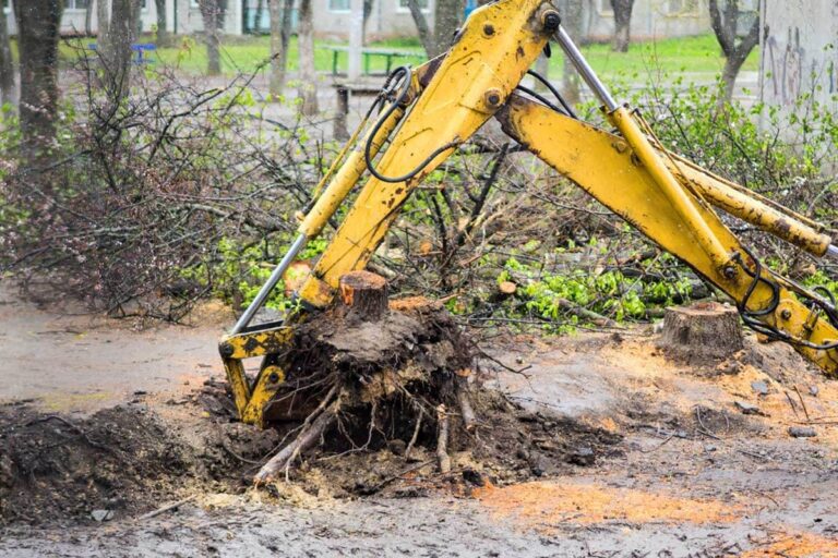 Tree and Stump Removal