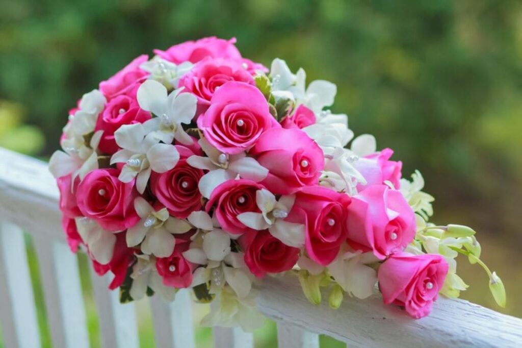 ST leonards florist