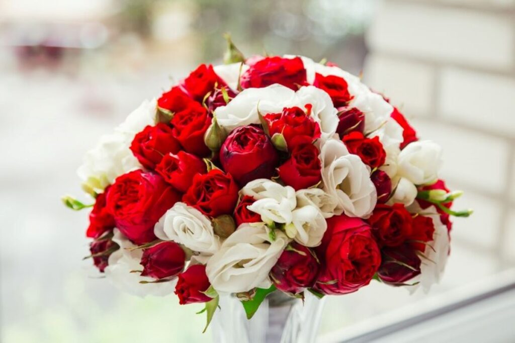 st leonards flower delivery